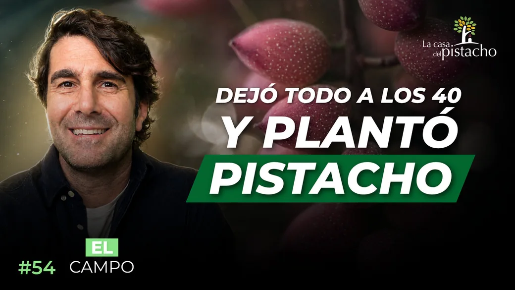Pistachos